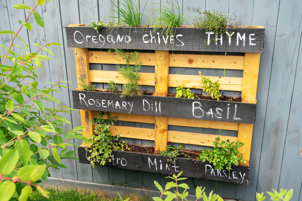 pallet wood, gardening