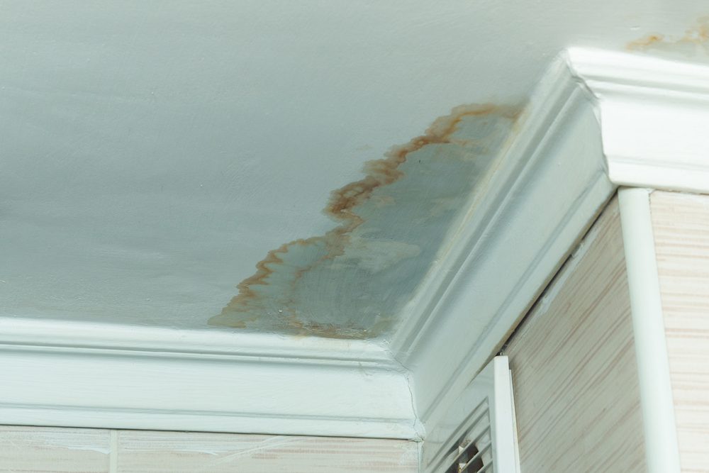 Mold, home inspection