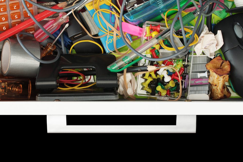 Professional Organizer