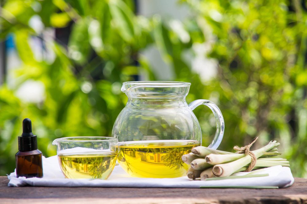 Benefits Of Growing Lemongrass