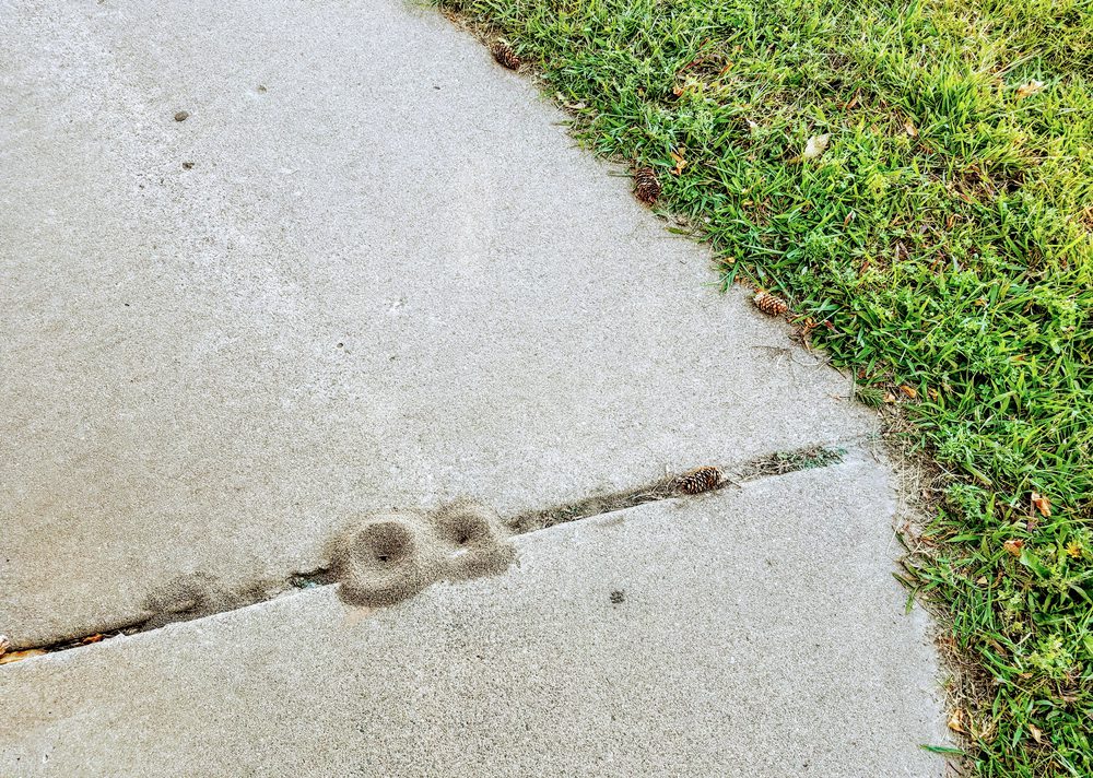 Home Maintenance Checklist