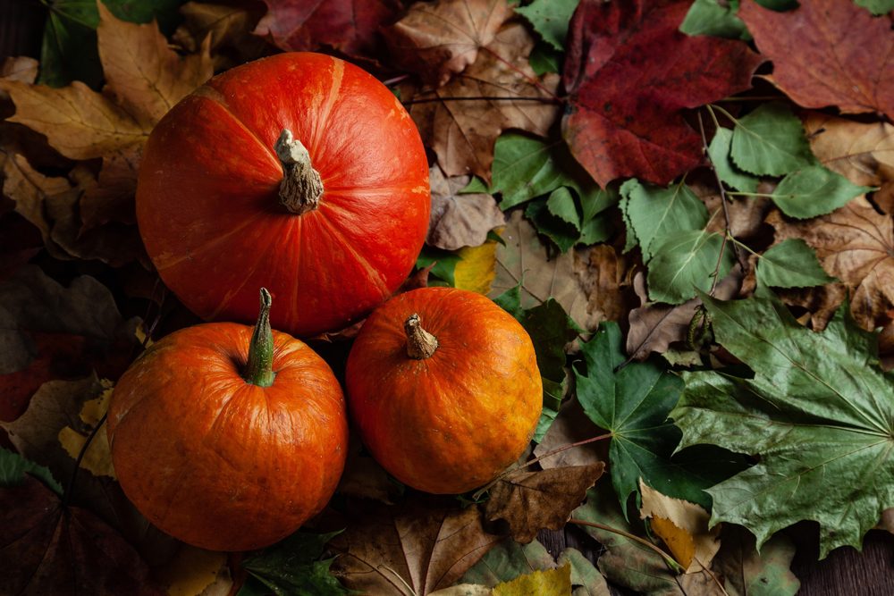 halloween decorations pumpkin