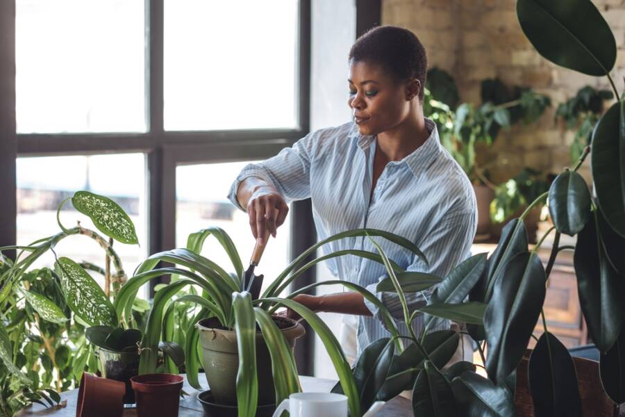 declutter before spring time