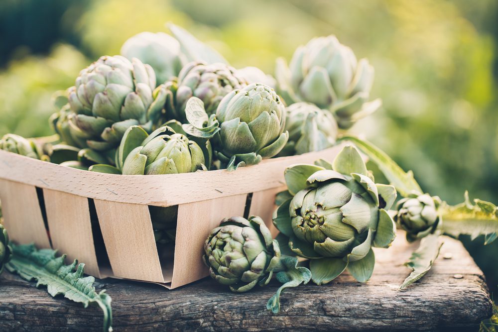 plants