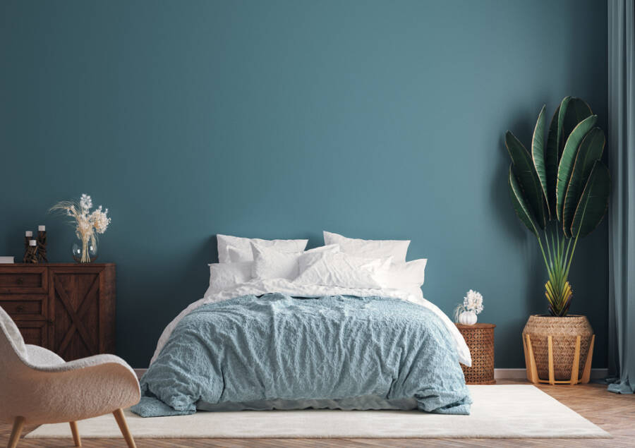 color rules
